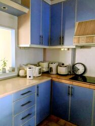 Blk 524 Pangshan Valley (Bukit Panjang), HDB 5 Rooms #558249091